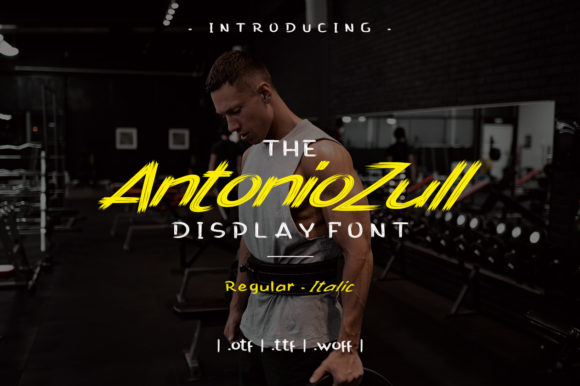Antonio Zull: A Brushed Display Font for Creative Makers