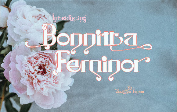 Bonnitta Feminor for Elegant Editorial Design