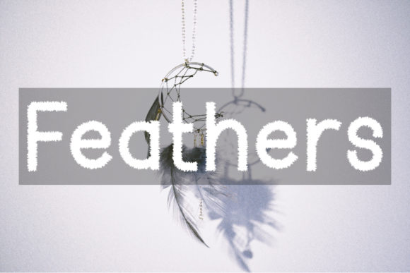 Feather: The Display Font That Elevates Campaign Design