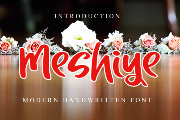 Meshiye: A Playful Display Font for Creative Makers