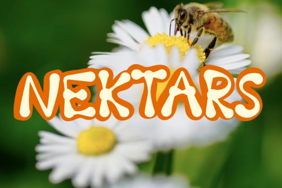 Nektars Font Download and Design Guide