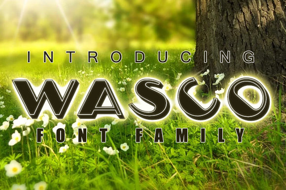 Wasco: A Fun and Casual Display Font for Bold Visuals